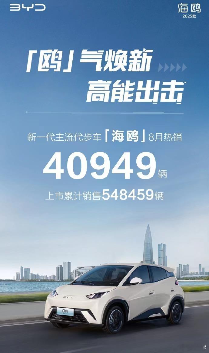 海鸥真的是太强了，月销  4 万台，独霸微型纯电车的市场。目前累计销量已经接近 