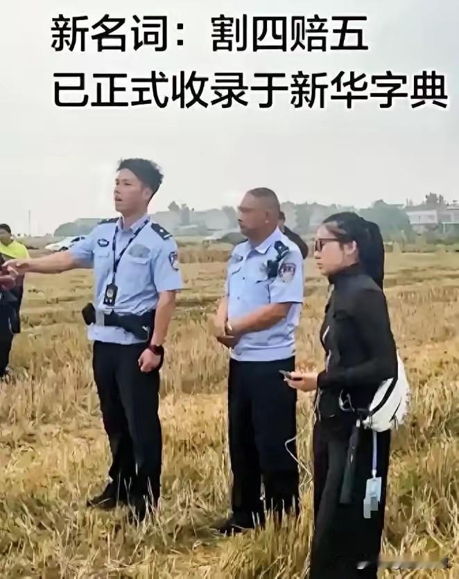“割四赔五”，95后年轻夫妻丢下才满100天的婴儿，开着农机从河南奔波湖北襄阳收