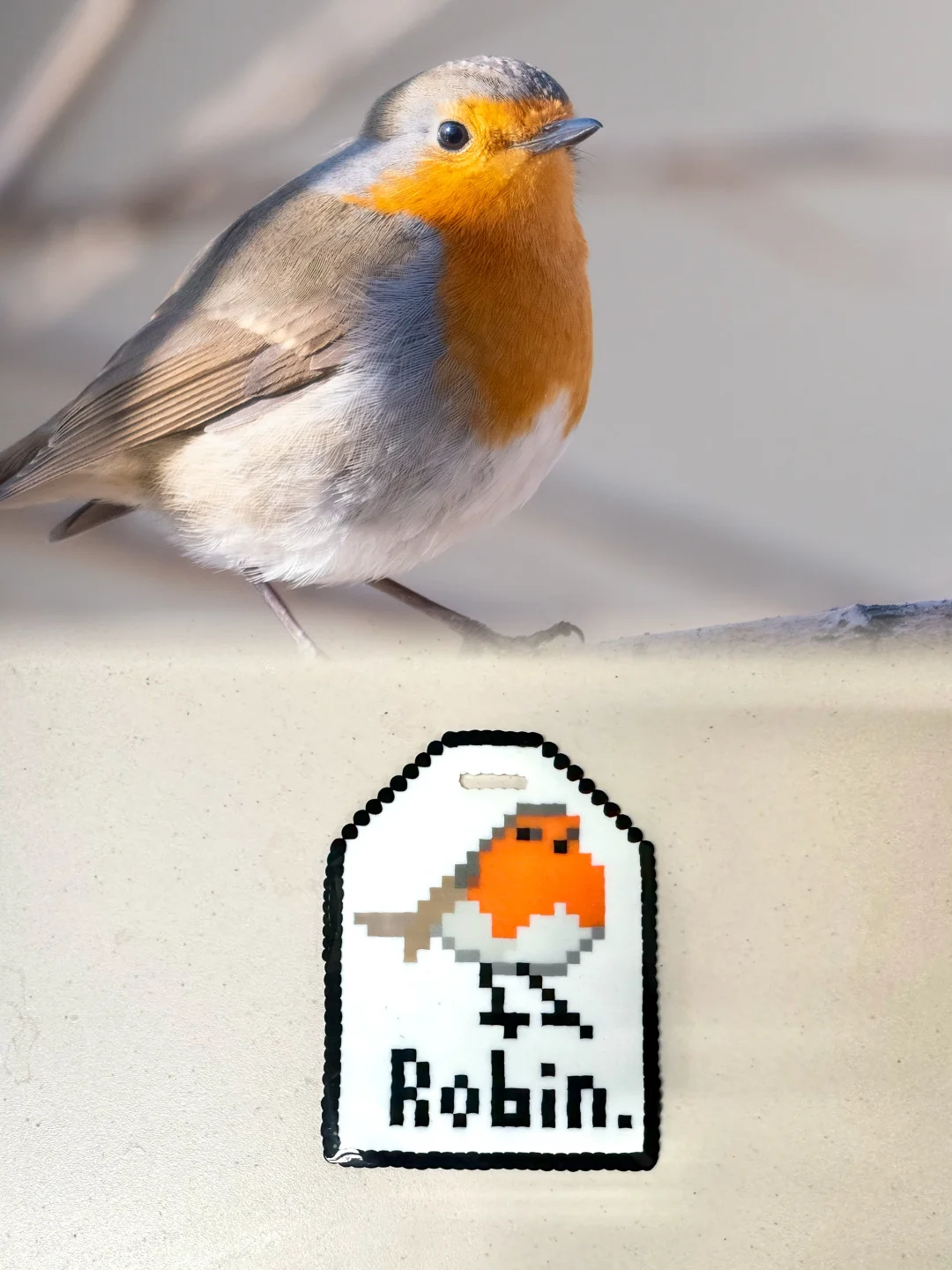 得了一看到Robin就会的病