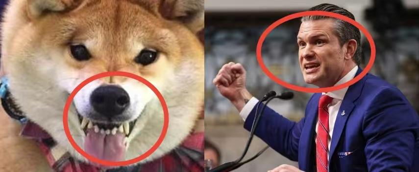 应该给此图配什么样的文字？
战争部长已经露出獠牙，摆出架势准备战斗了。
第一个国