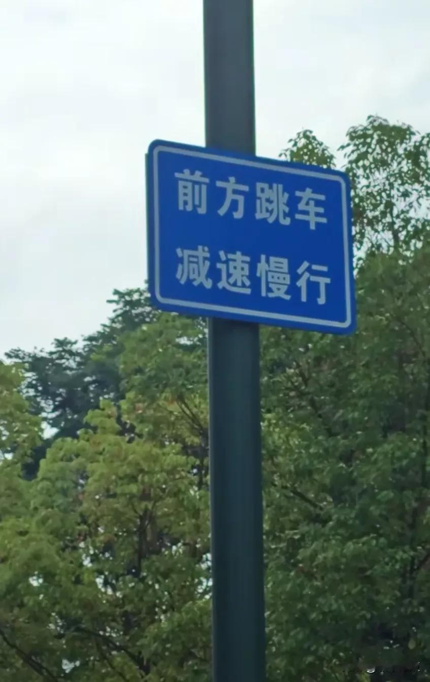 有懂交通的告诉我，这什么意思？