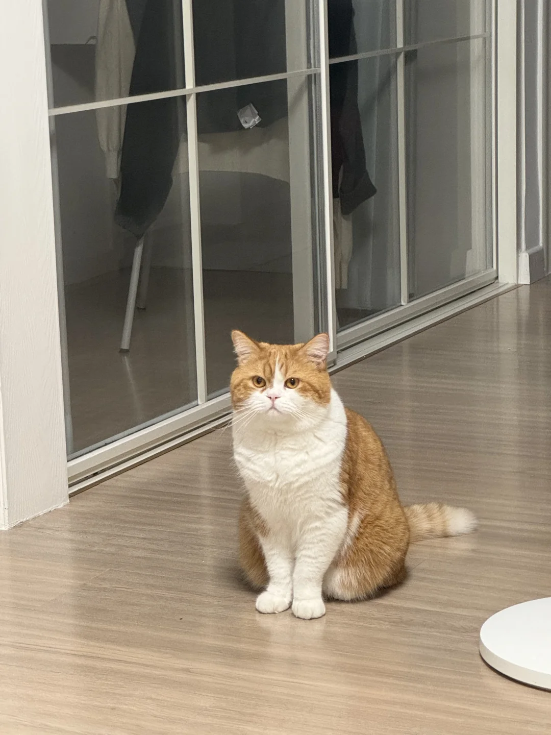 往那一站就是兵