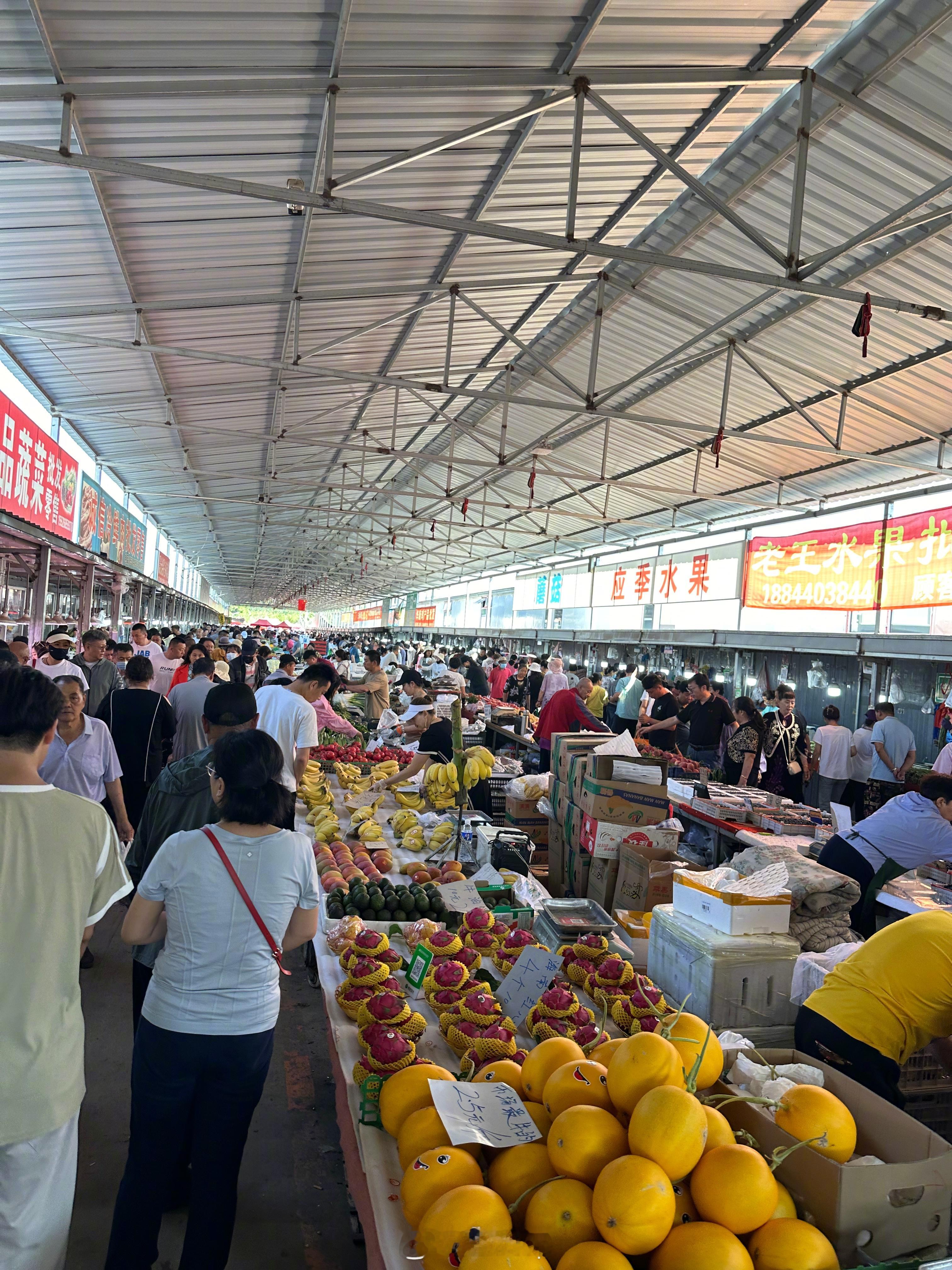 逛早市消费276元，买菜76元，贴条200元[笑cry][笑cry] ​​​