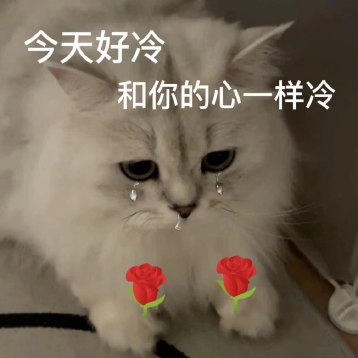 开启一键入冬模式！你准备好了吗 