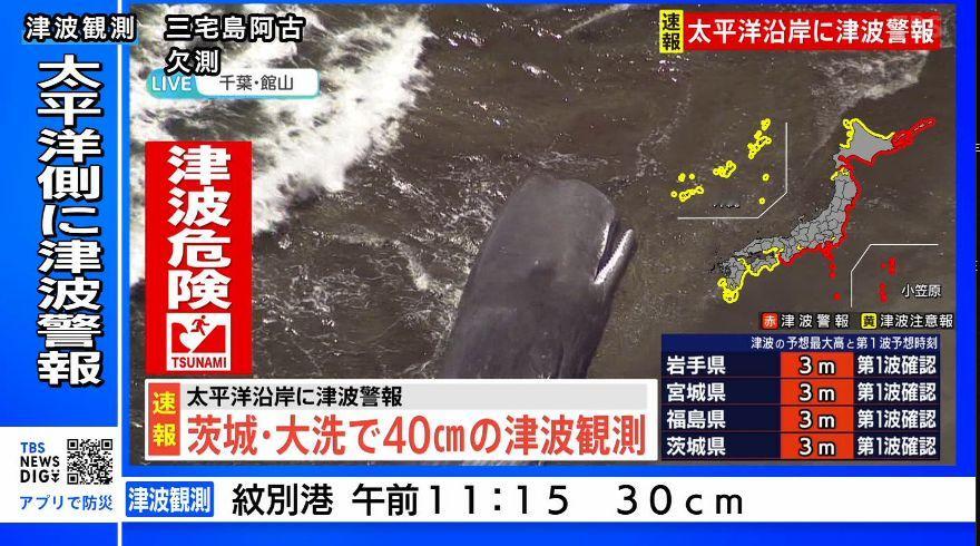 勘察加东岸发生8.7级地震在日本千叶县馆山市，目前尚不清楚是否受到海啸的影响，四