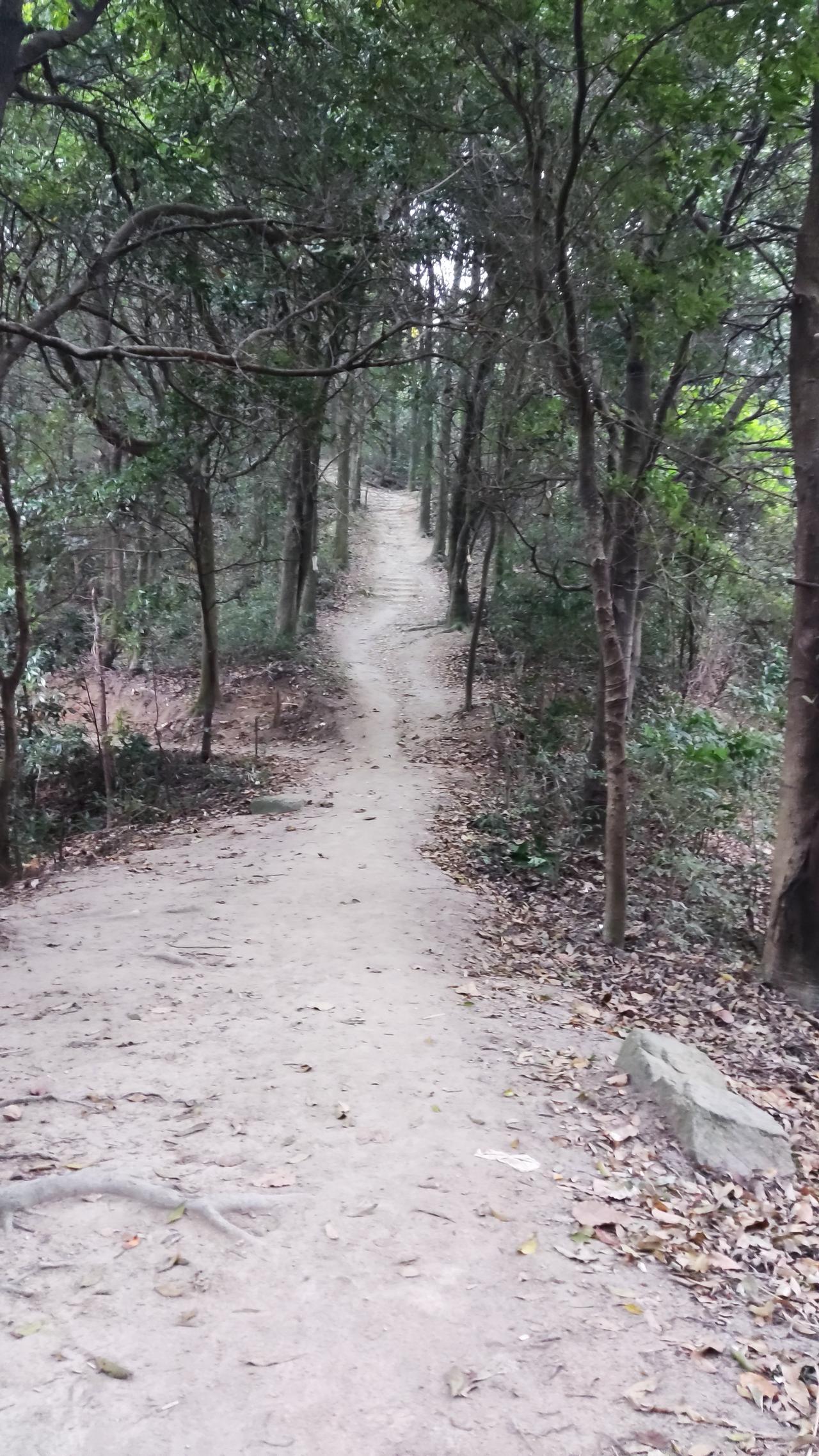 金银铜暴涨背后：你不知道的市场秘密！


近期，金银铜等贵金属和基础金属价格迎来