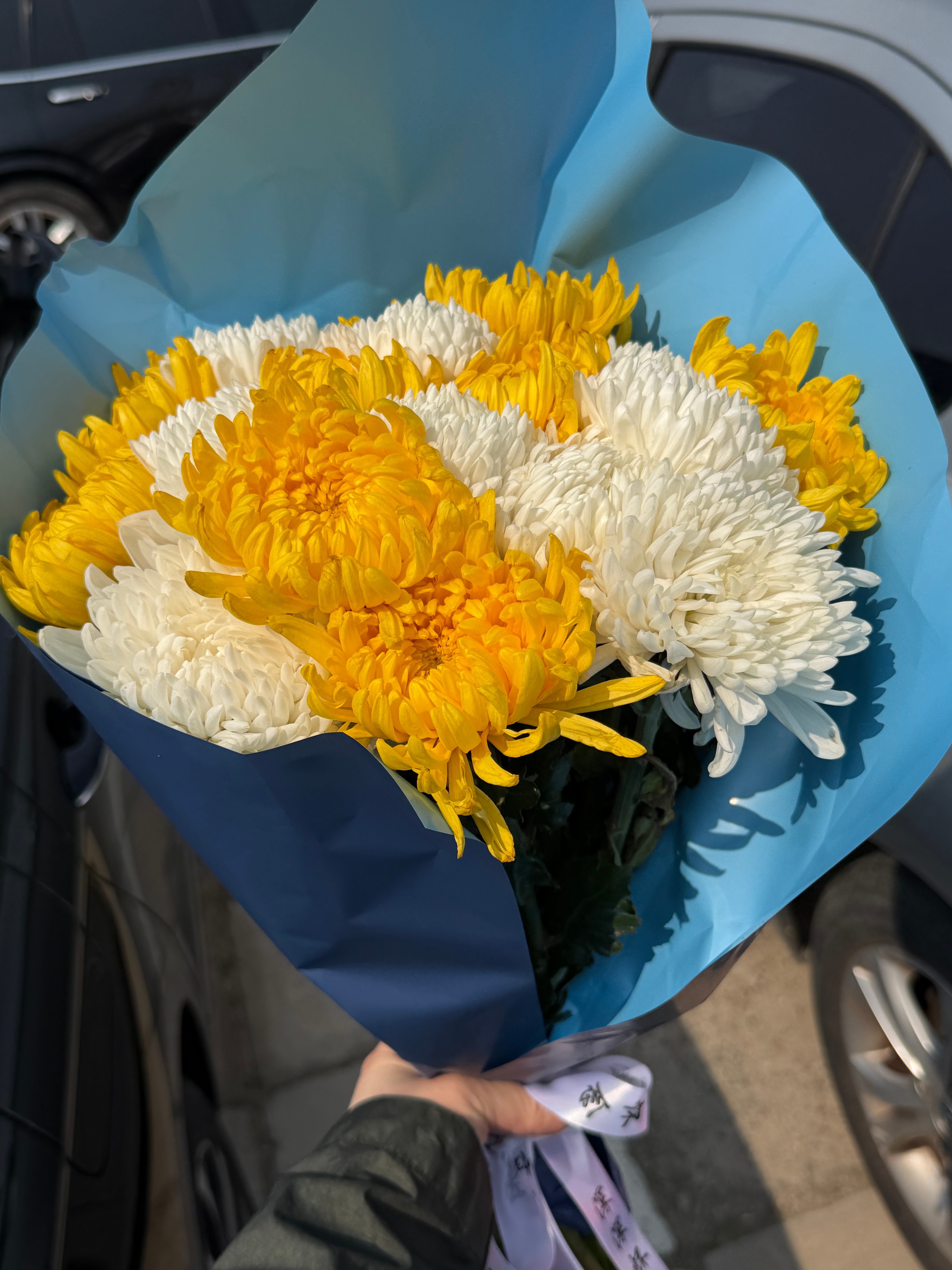 来看看爷爷奶奶，扫扫墓～其实上个月刚来过如果你还有爷爷奶奶，珍惜吧清明节