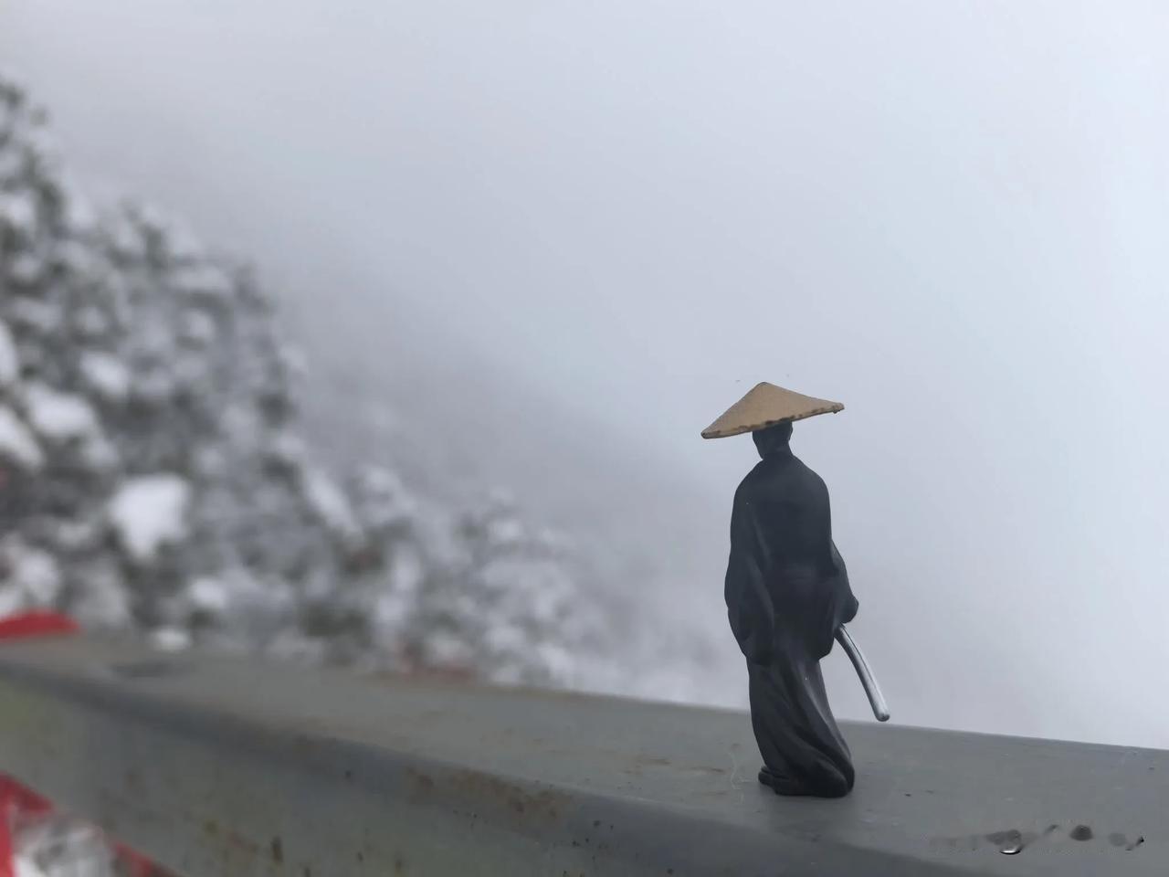 雅安天全喇叭河景区，和小动物们来一次亲密接触。话说，这里的猴子🐒们是真的多，山