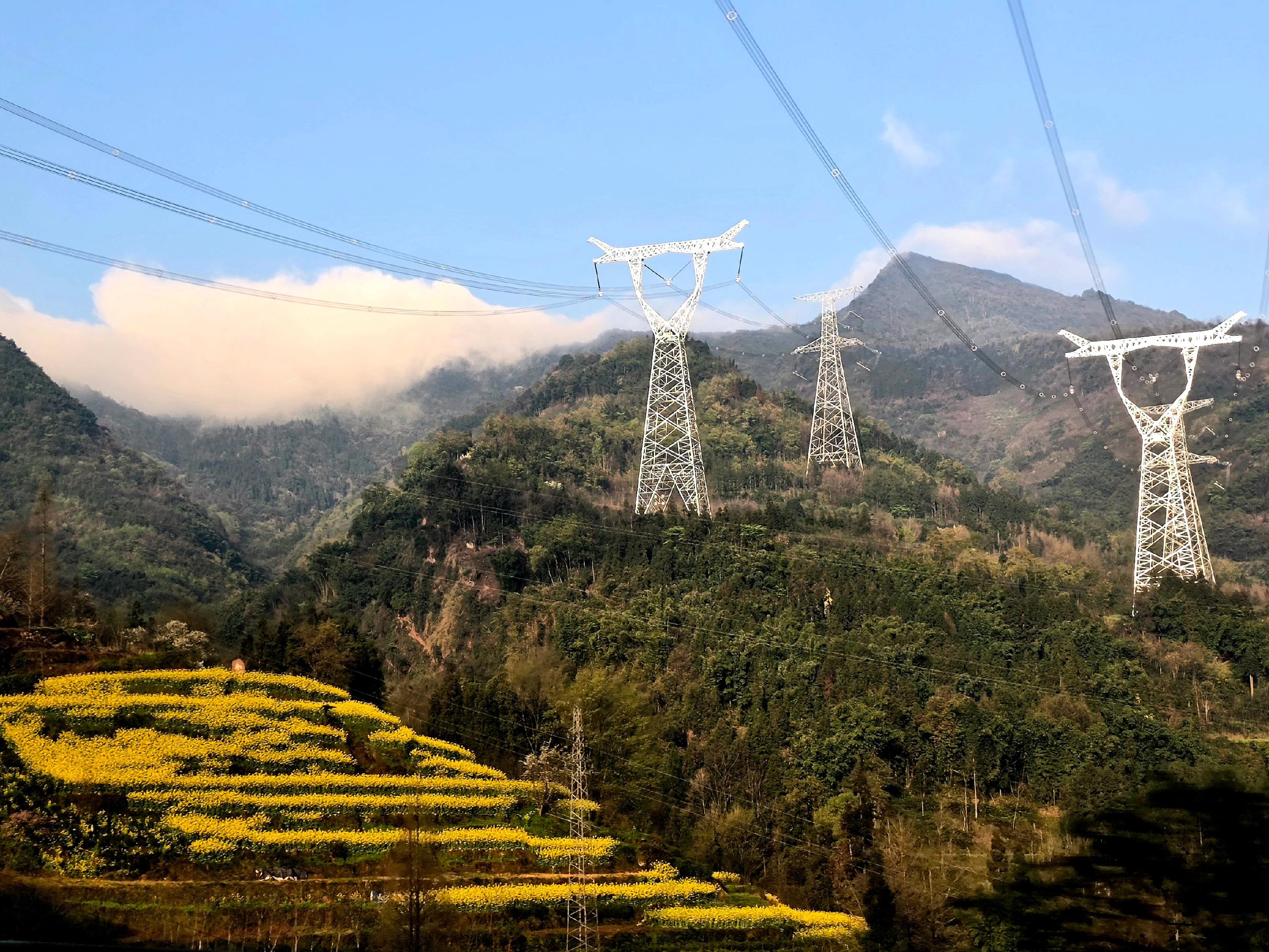 手机镜头下的风景