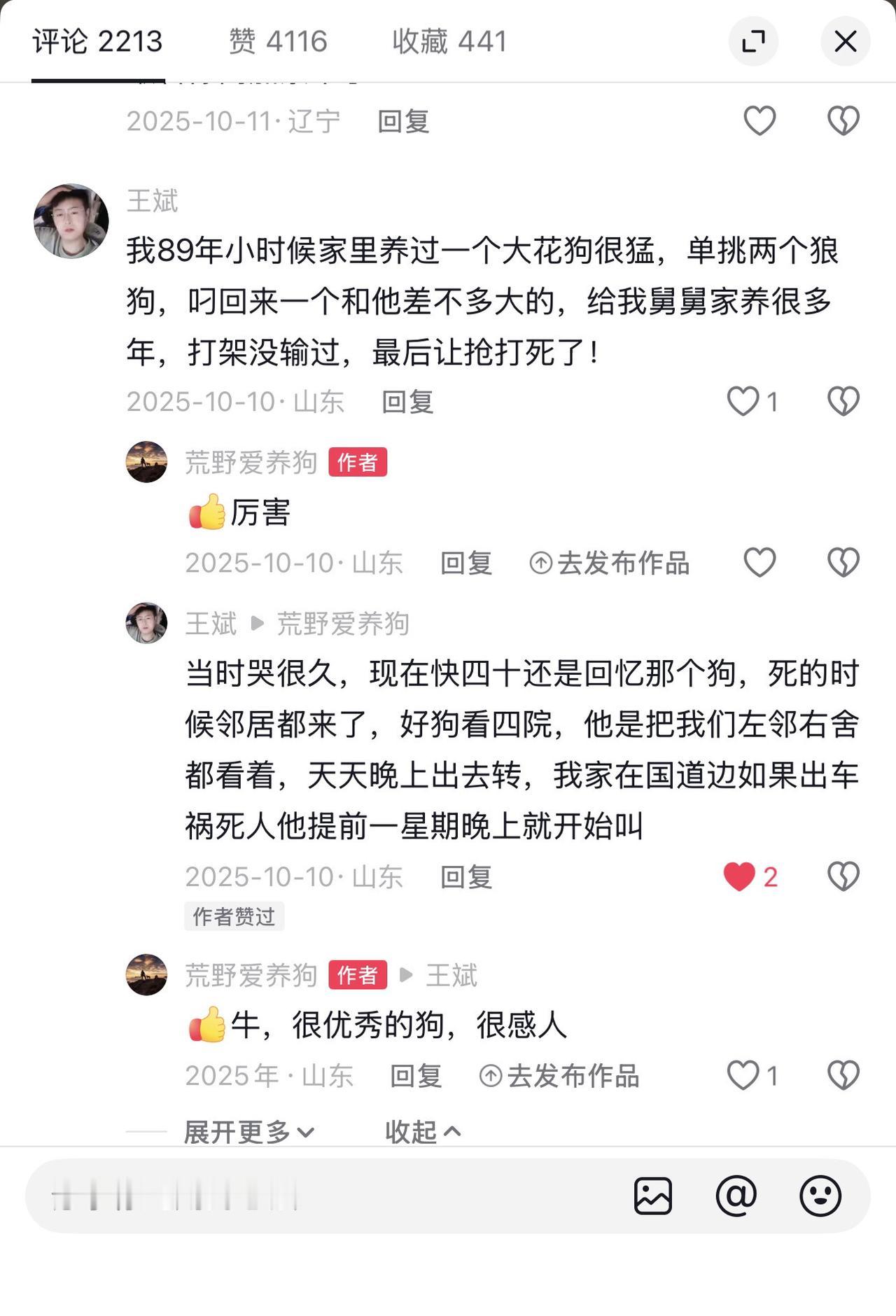 山东笨是山河四省笨狗太行犬的一部分，当年它们也曾种群庞大，活跃在俺山东的农村地区