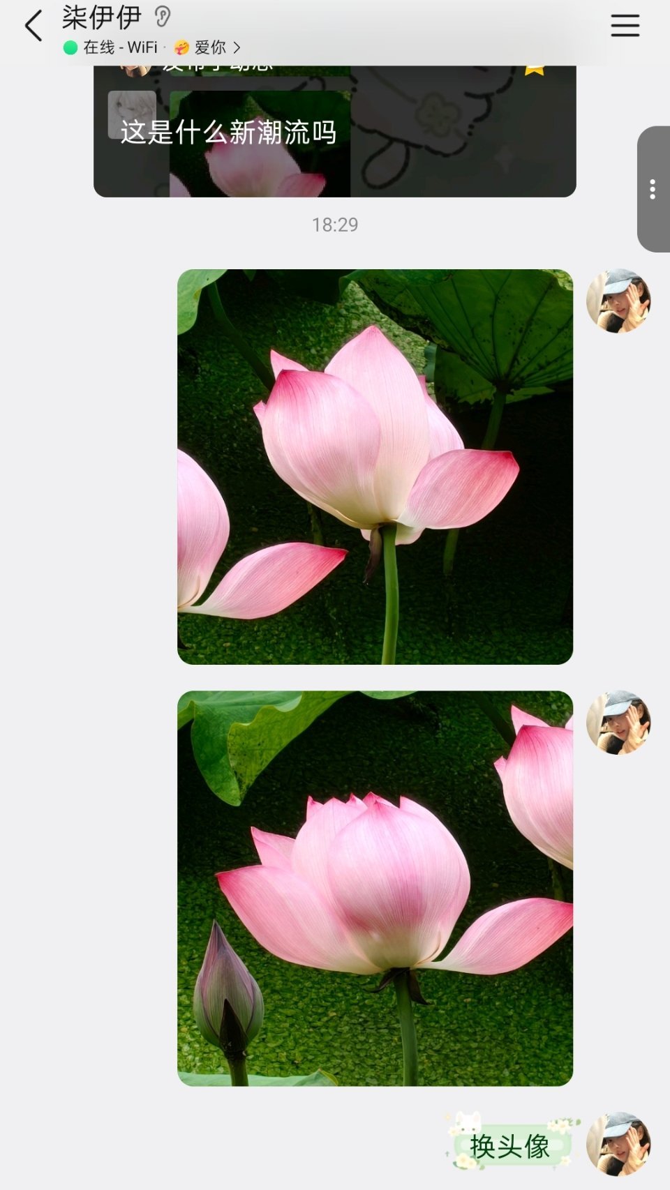 当我叫夫妇换头像时 