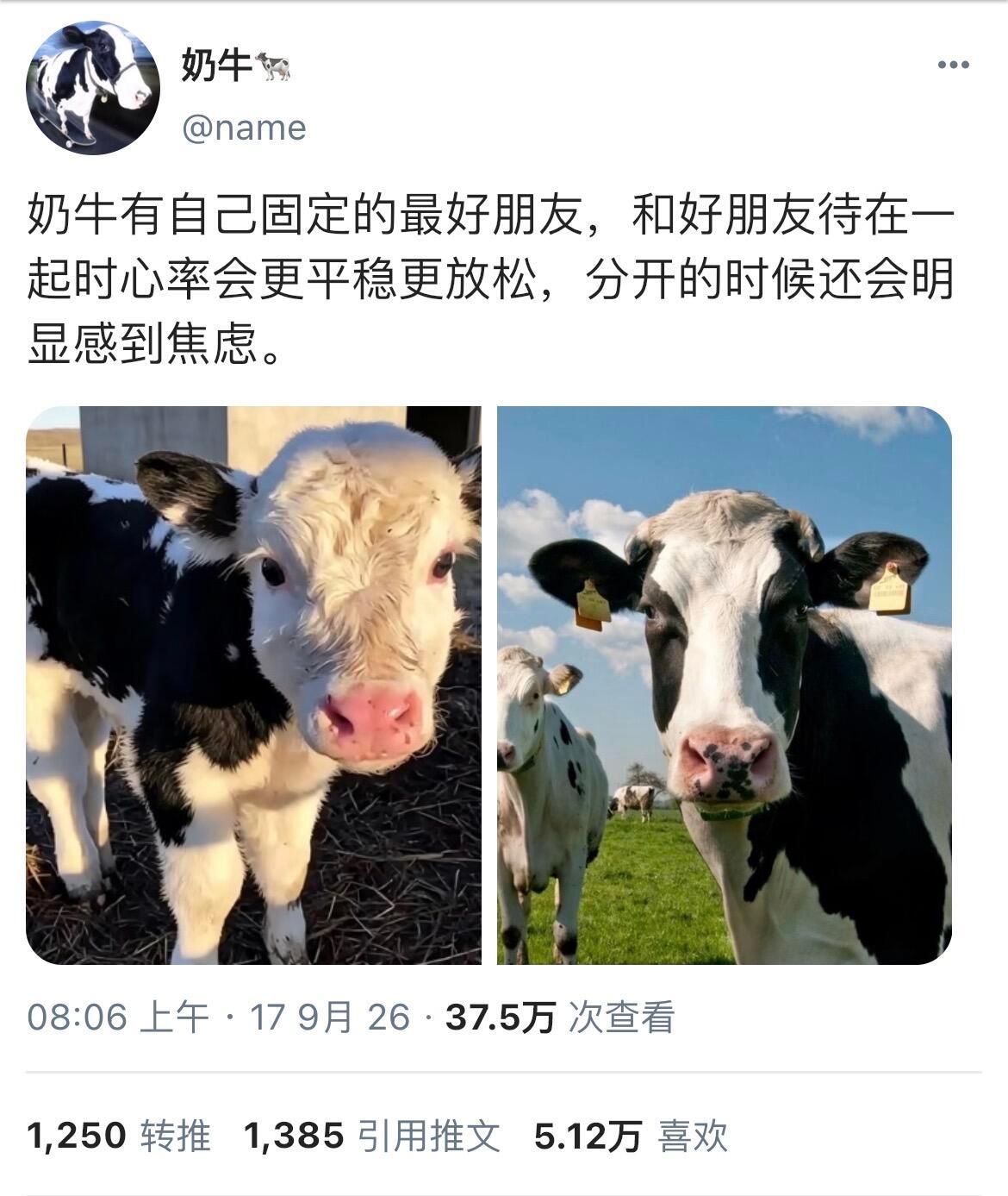 一些小动物们的，小众萌点[爱慕] ​​​