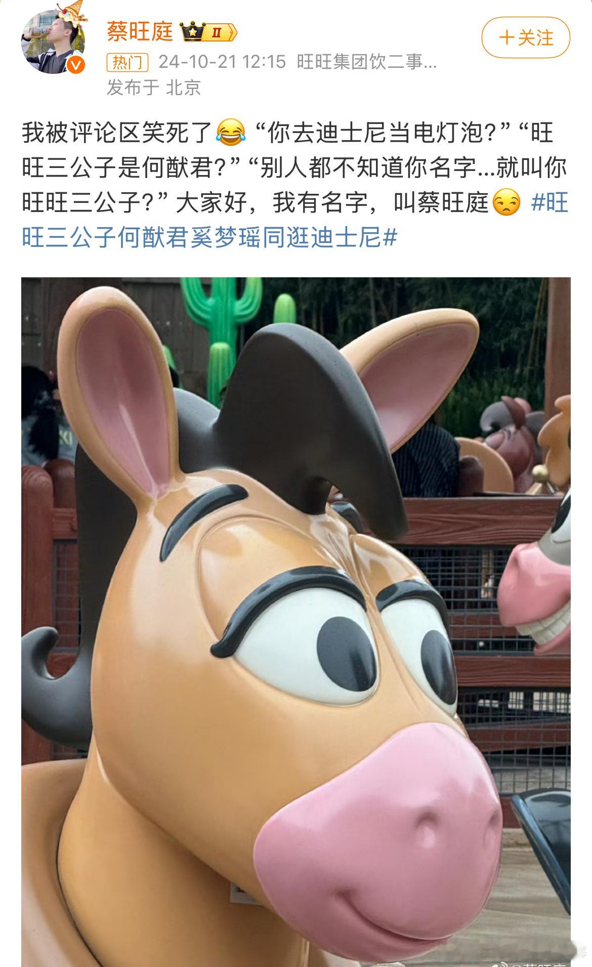 #旺旺三公子 我叫蔡旺庭#哦哦哦就是你啊蔡旺庭，你去迪士尼当电灯泡[坏笑] ​​