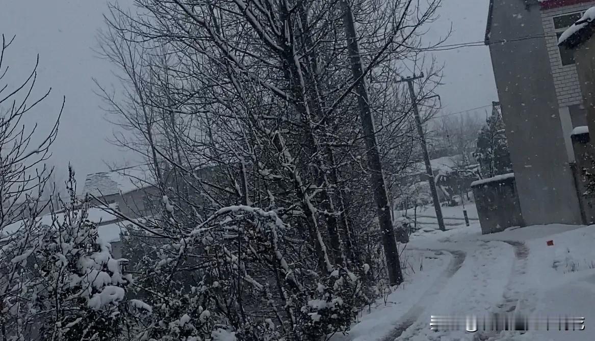 上联：圣诞欢歌歌盛世
下联：寒冬瑞雪雪丰年

上联意思是：在圣诞节期间充满欢乐的