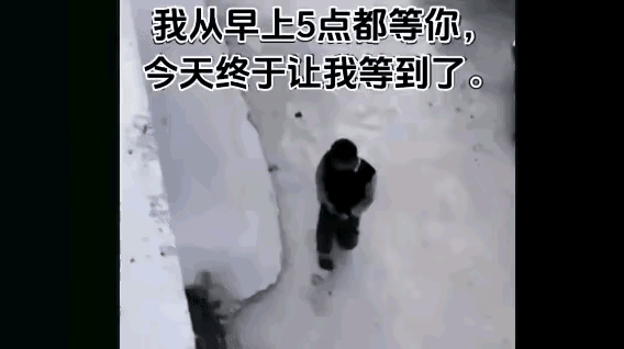 有些人为了少走几步路，不管别人会不会看到，也不管人家是不是被骚味熏到，常常跑到别