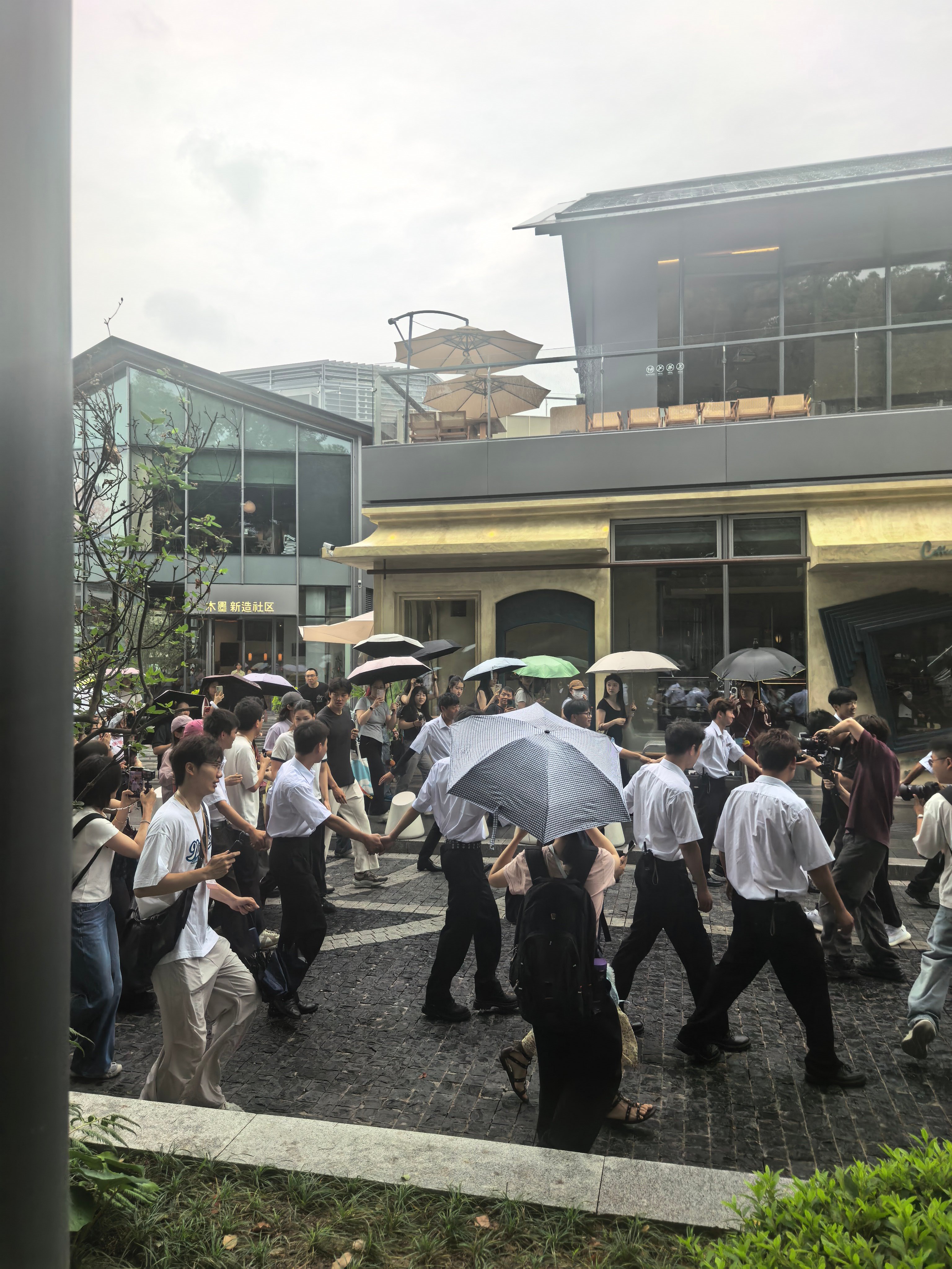 顺顺已转场到秀水街出现啦！！汪顺