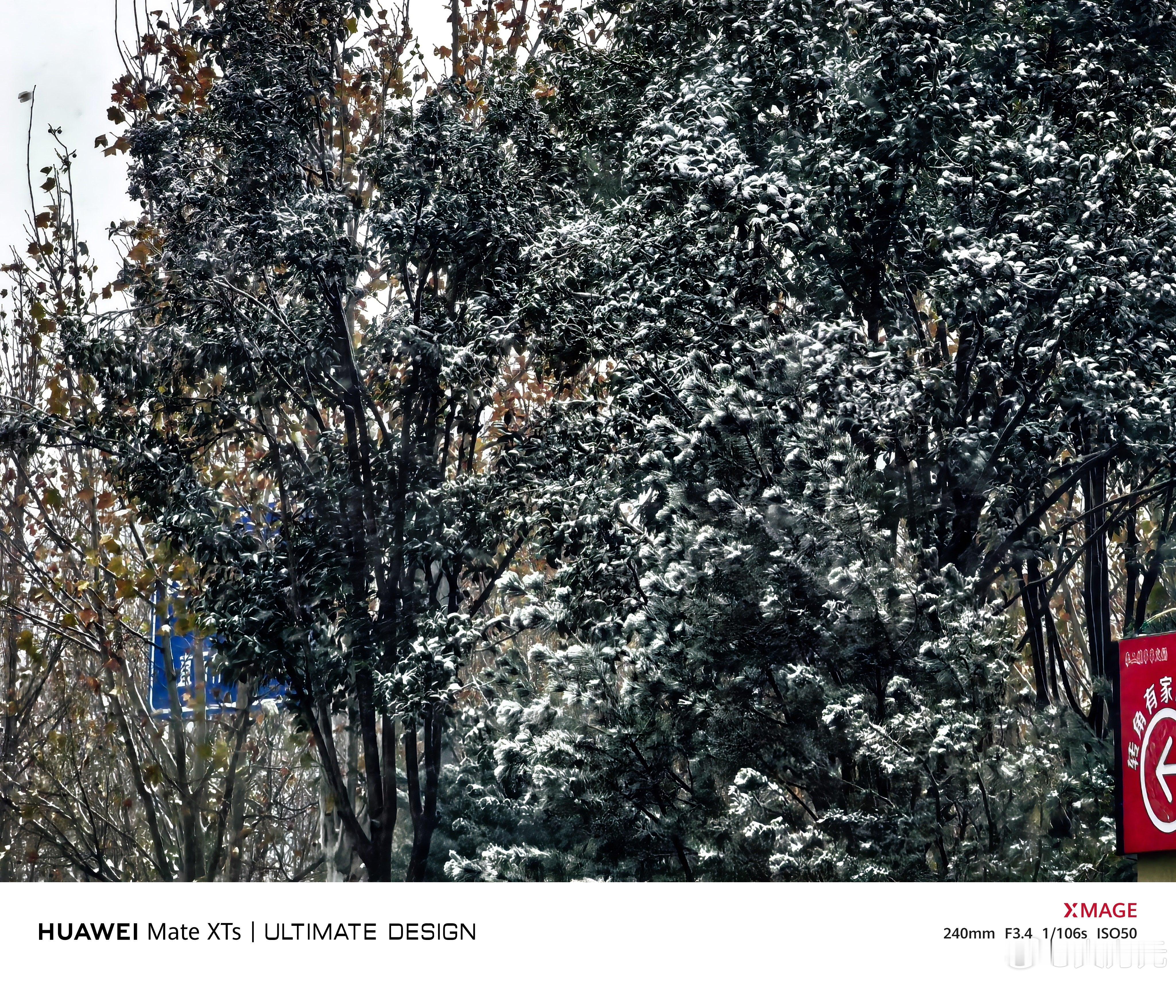 西安用一场雪告别2025，在2025年的最后一天，西安终于迎来了一场大雪，今天的