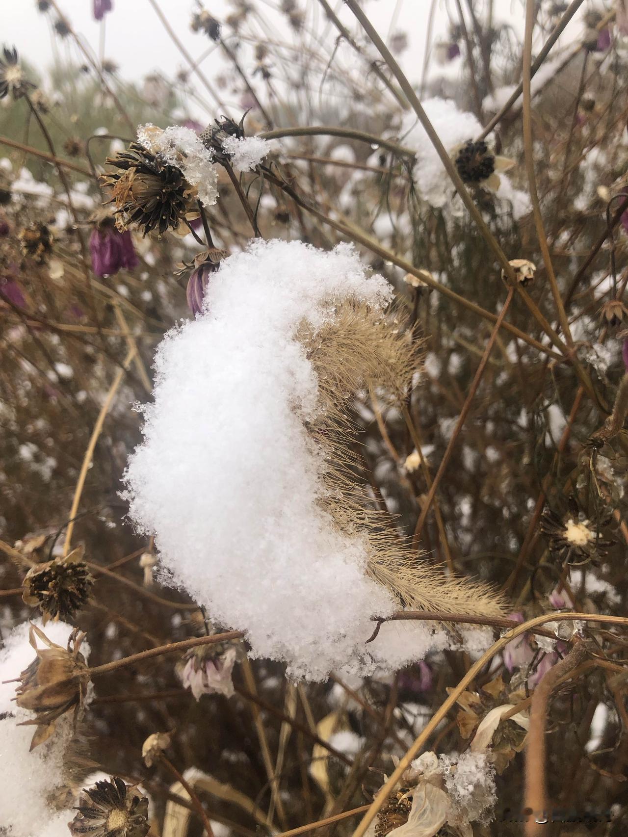 破2.2亿！春运第六天彻底挤爆，重点旅客服务暖哭了！

春运才第六天，跨区域流动