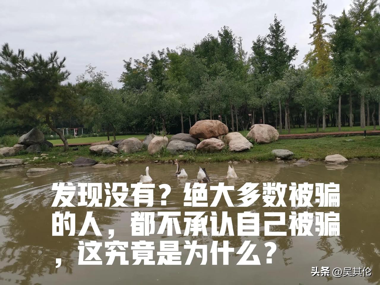 发现没有？绝大多数被骗的人，都不承认自己被骗，反而会坚定地说，学到了很多。
比如