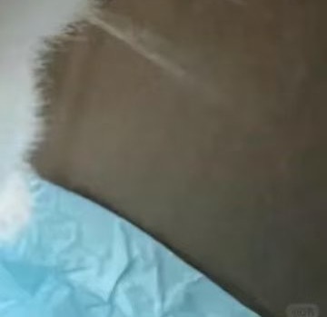 每日一善 🩵阳光信用 0000每一处风景都是生命的驿站，用乐观的心看待万物，心