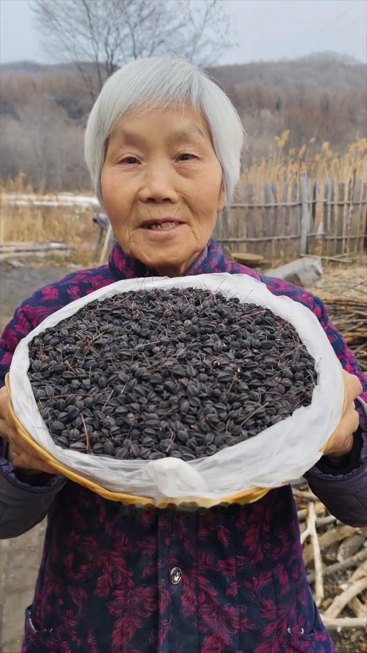 东北纯野生刺五加籽，它是自然生长的，比人工种植的粒小一点。
我家是小兴安岭的主脉