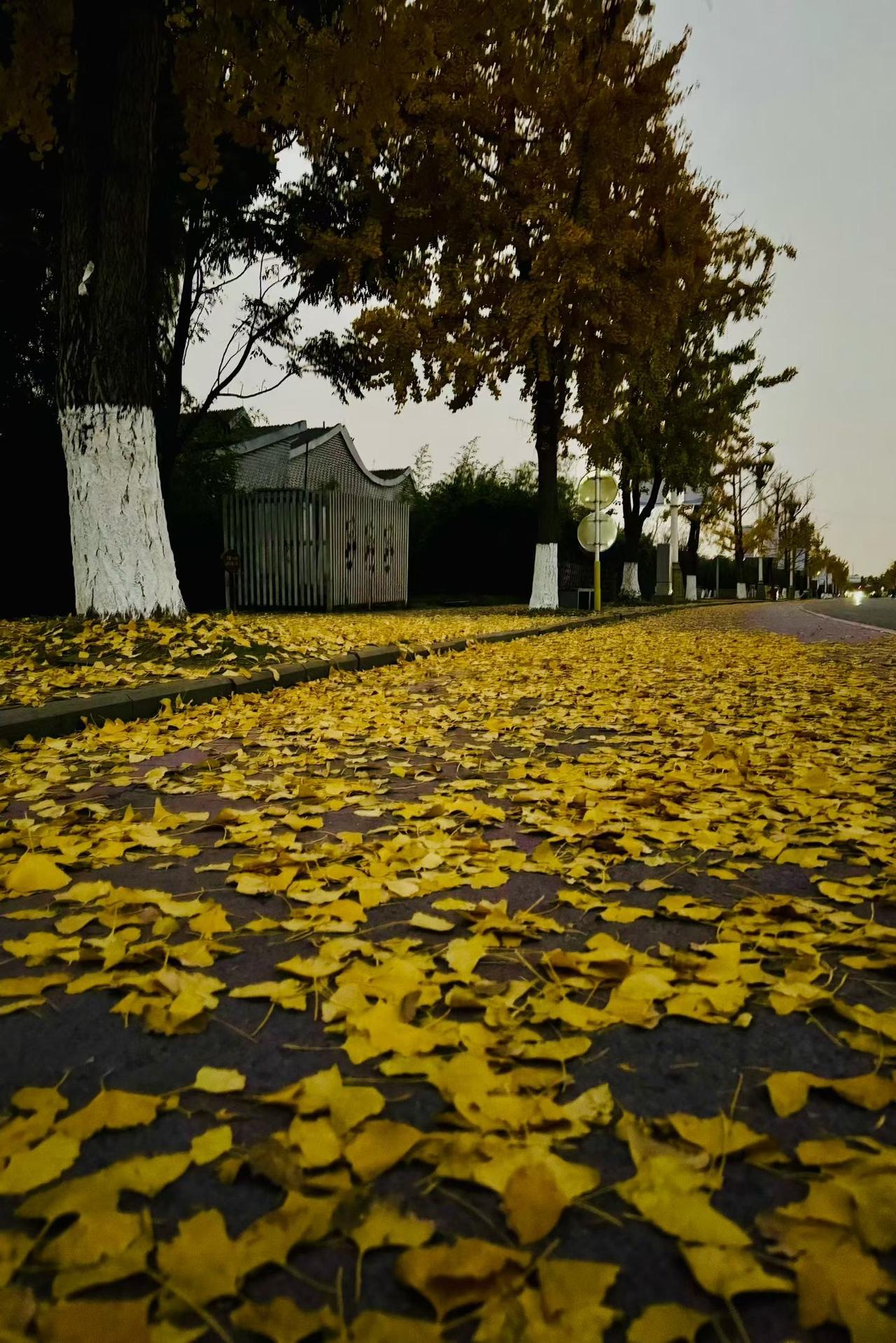 开网店的要开实体店了，
有前途吗？
老人异想天开，
子女们不答应，
于是乎发生了