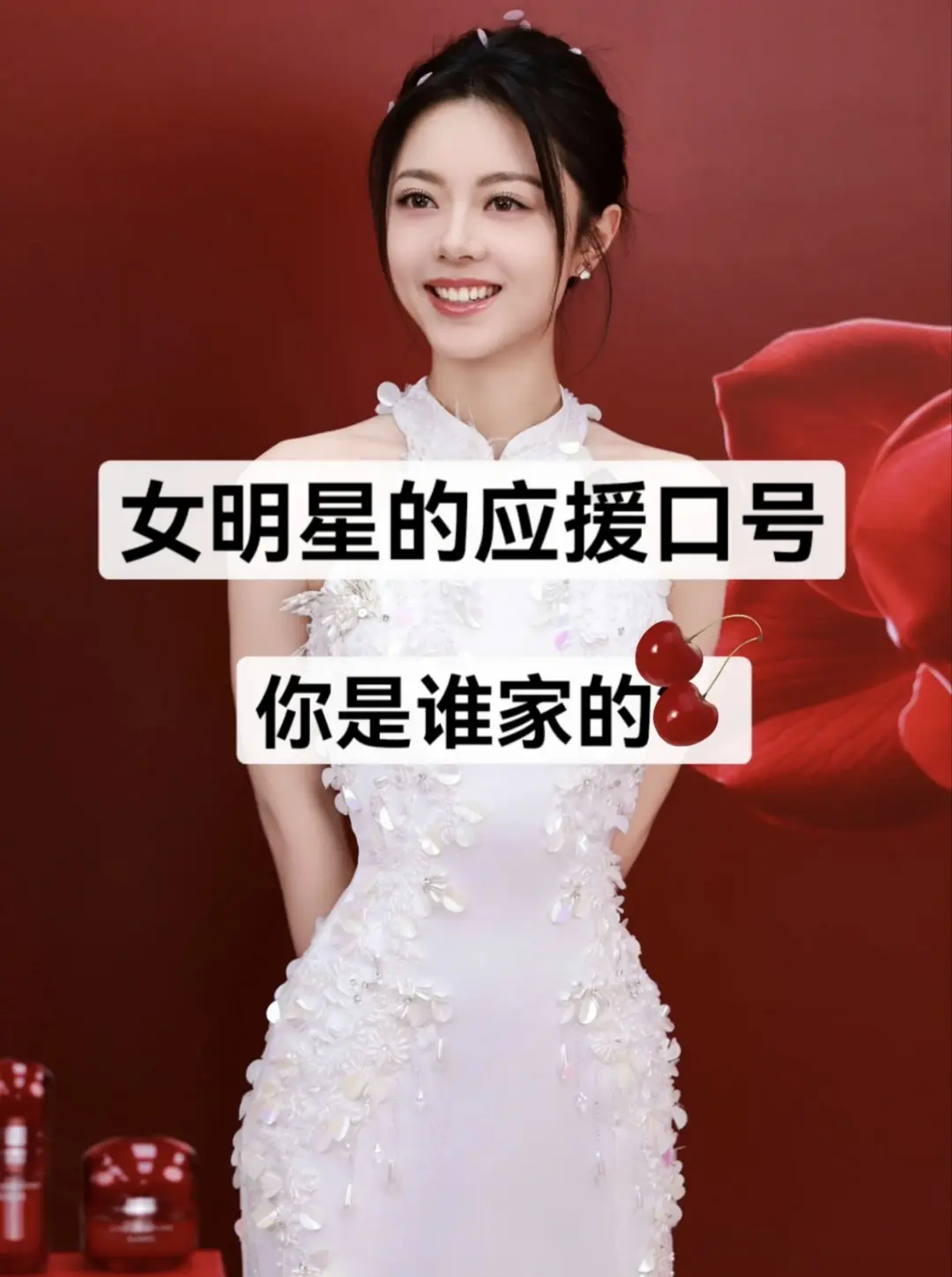 17位女明星的应援口号。