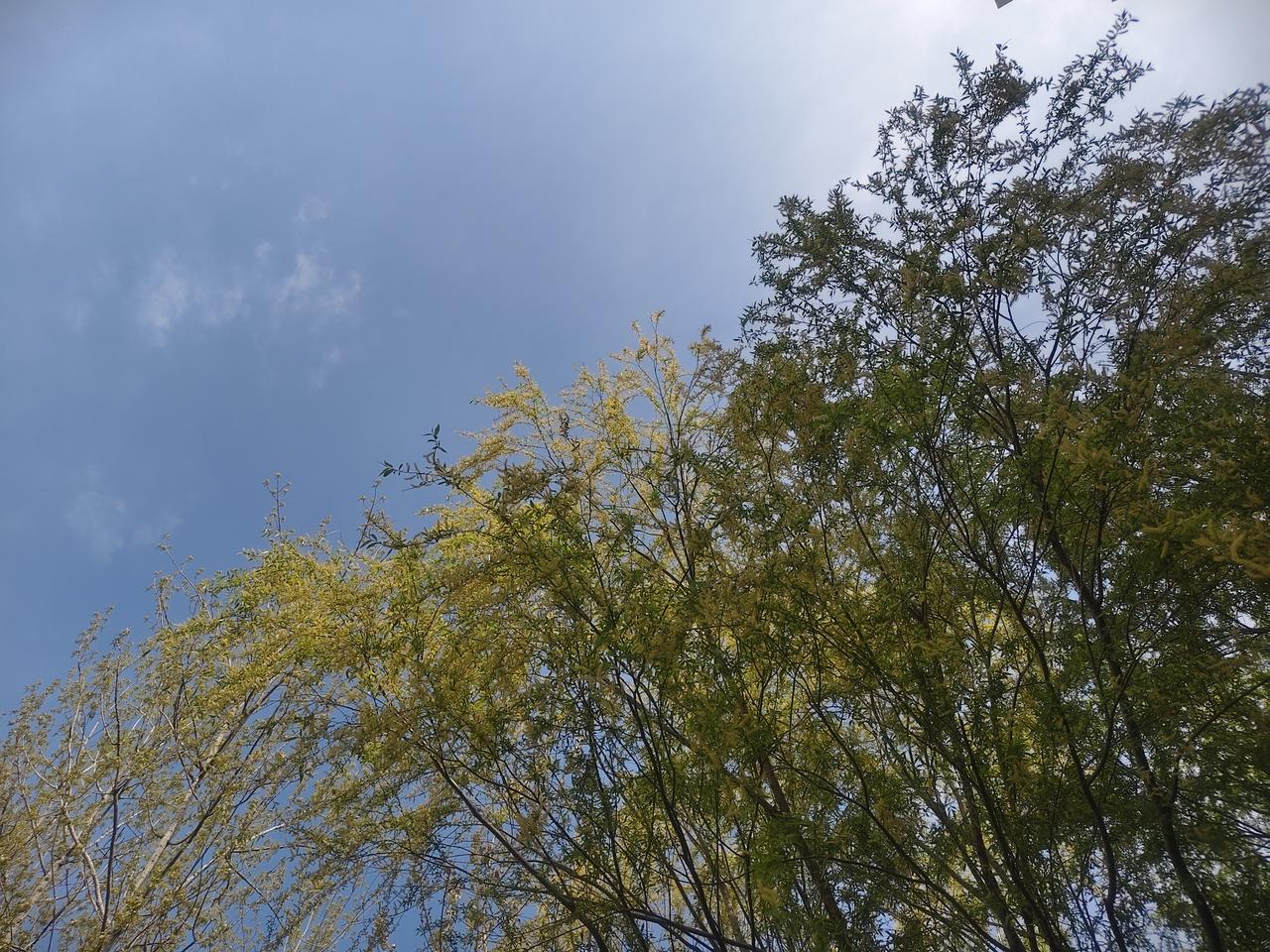 雨后的清晨，天气晴朗，心情特别好。
推开窗，清新的空气扑面而来，带着泥土的芬芳和