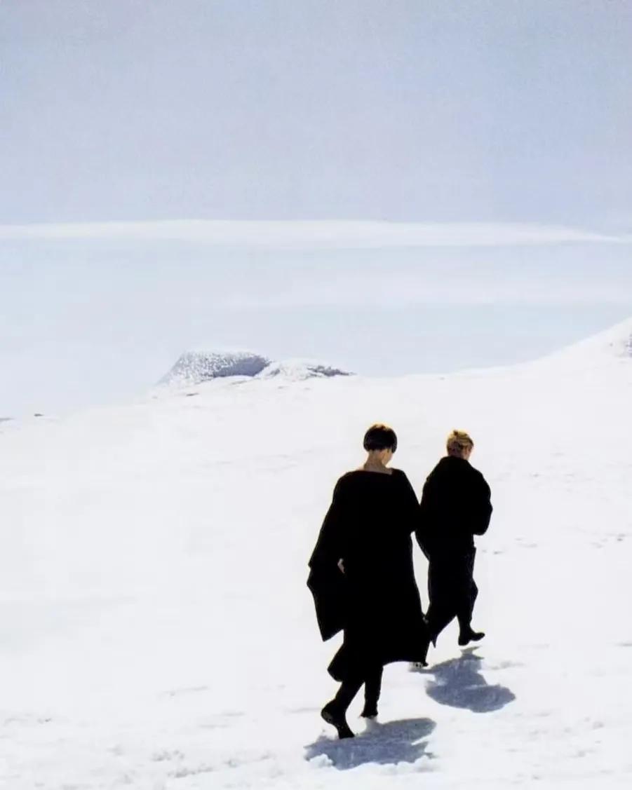 ᴄᴀᴍᴘᴀɪɢɴ｜Donna Karan Fall/Winter 1999[玫瑰