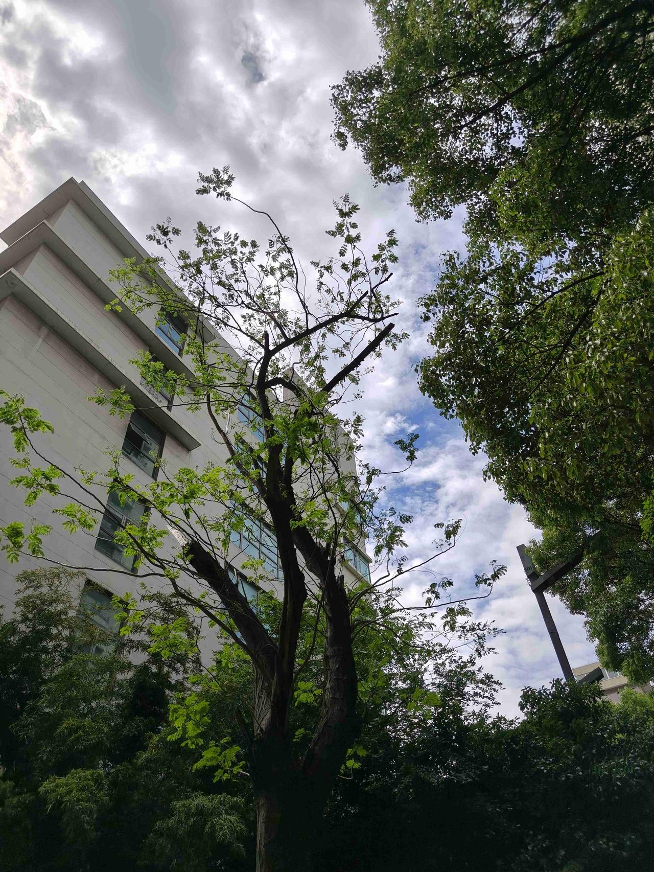我的今日状态：😁轻松愉快
我这里的天气：🍂微风