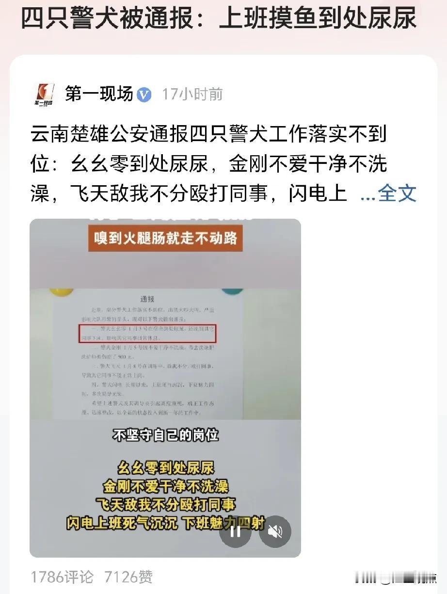 【云南4只警犬被通报批评】
[捂脸]看了通报内容，我笑喷了，有“上班摸鱼的”，有