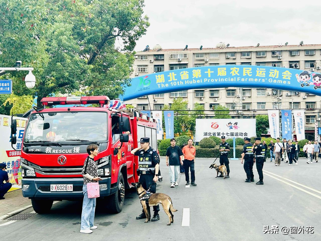 现实里的警犬🦮（随手拍）。我们这儿正办几场大型文体活动，人气特别旺，那天我也凑