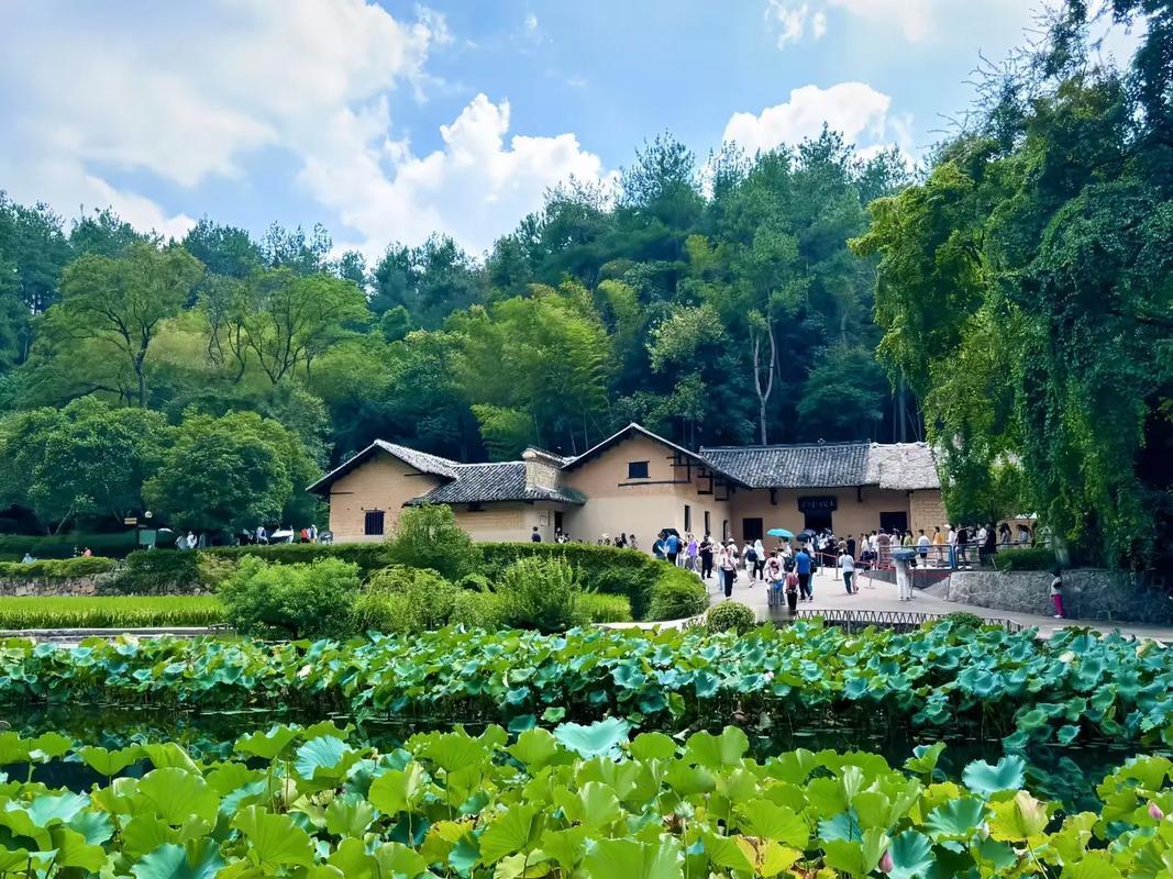 🎉你知道吗？在湖南韶山，有一处地方，不仅是毛主席的出生地，更是一座充满历史温度