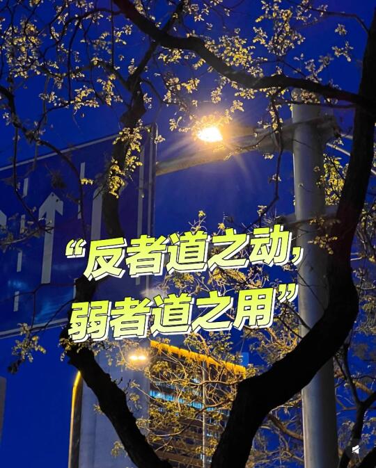 窗外狂风呼啸窗里书墨泛香 咱闲聊几句