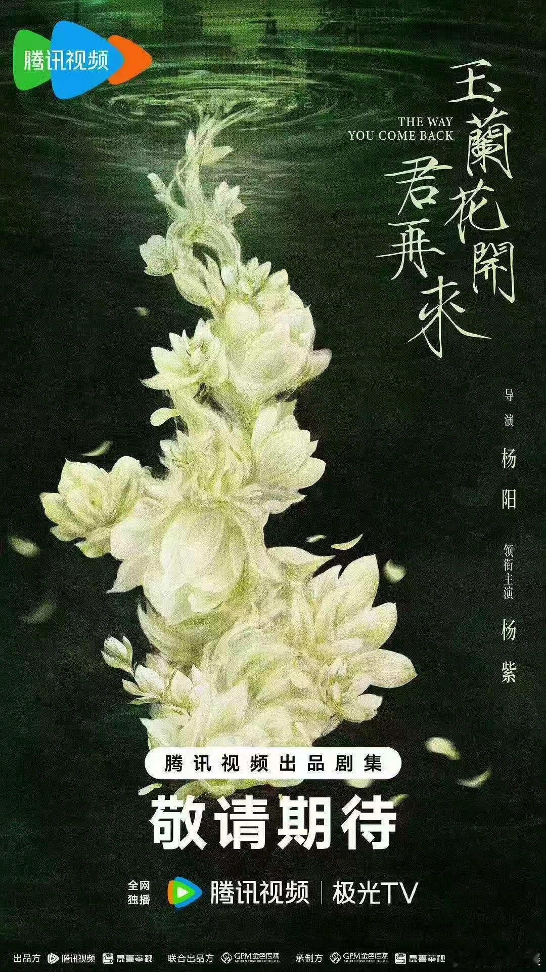 杨紫玉兰花开君再来11月底开机，可以，真是不错 