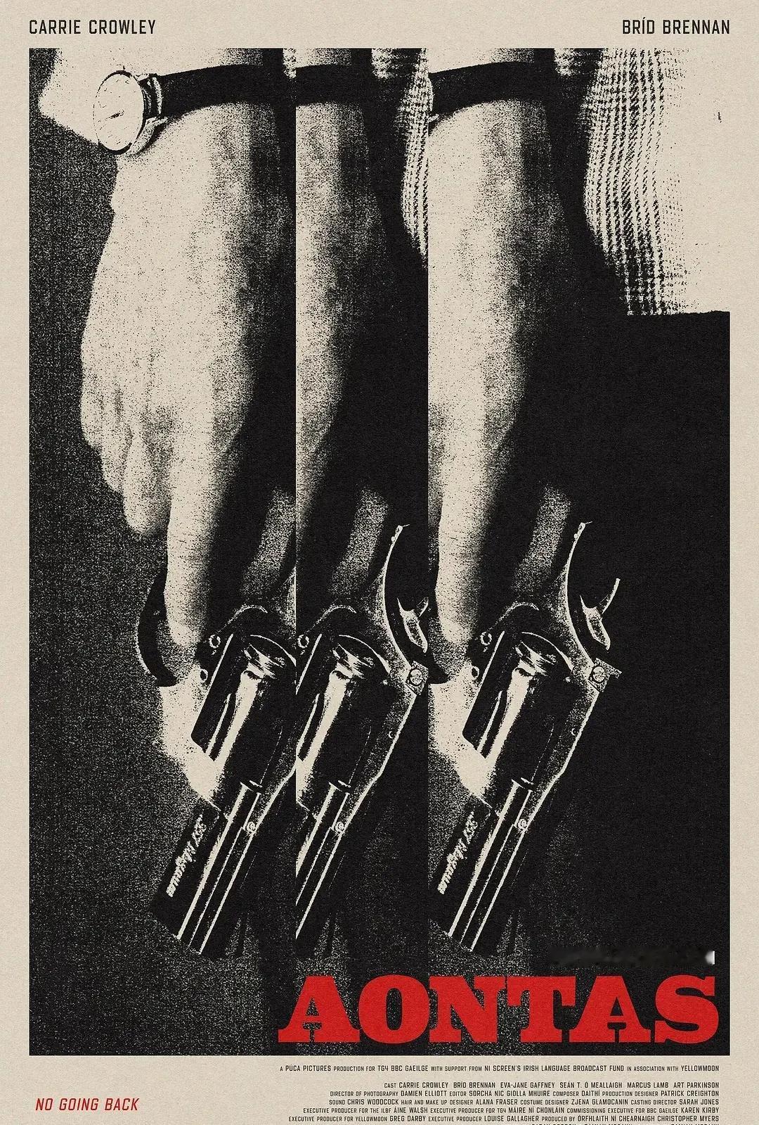 🏆99奥外｜《挫败的人生劫案》爱尔兰选送
达米安·麦坎执导，凯瑞·克劳利、布里