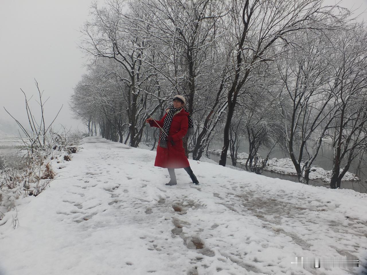 记忆中的那场雪
记忆中的那场雪，在家乡的屋檐轻轻飘；
银装素裹的世界，如梦似幻，