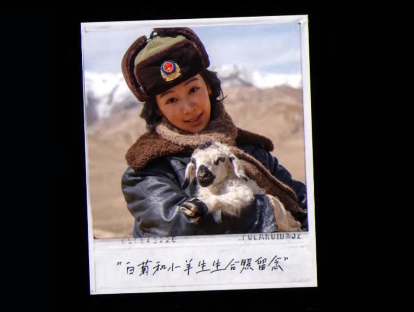 生命树杨紫给小羊取名叫生生，这就是生命树的意义吧，人与自然和谐共处，敬畏自然，守