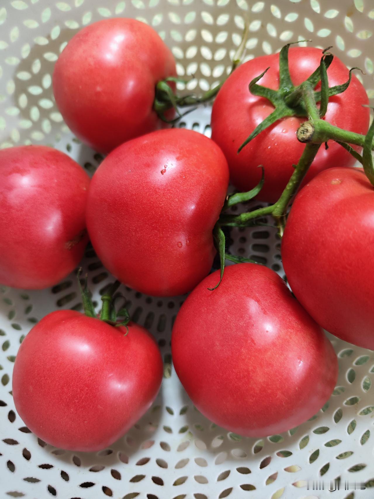头条召唤豆包？夏季自然灾害增多，怎样防灾避险？
豆包回答: 夏季是台风，暴雨等次