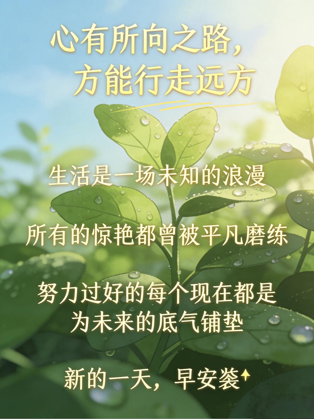 心有所向之路，方能行走远方生活是一场未知的浪漫所有的惊艳都曾被平凡磨练努力过好的