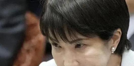 日本不怕中国有导弹，也不怕中国的核武器 ，甚至不怕中国的稀土制裁，他们害怕就是派