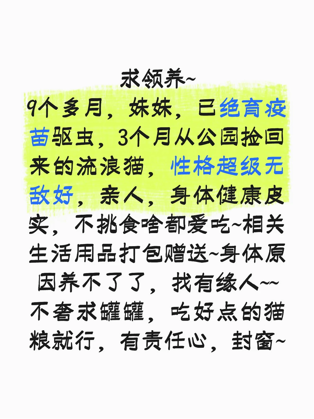 再领养不出去又得流浪了