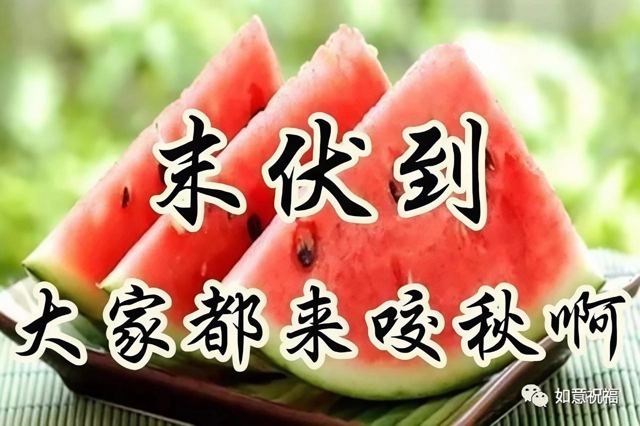 8月14日，末伏到啦！这是三伏天的最后一伏，也是盛夏向秋的过渡。虽说暑气还在，但