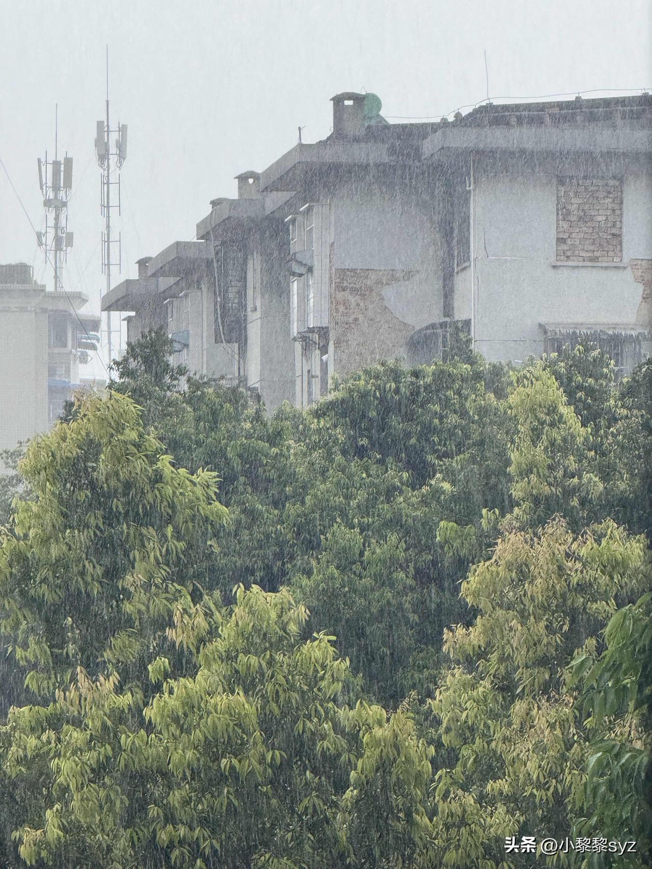 受台风影响桂林今天下了一整天的雨，然后我也一整天没出门了…

本来还想着回家来着