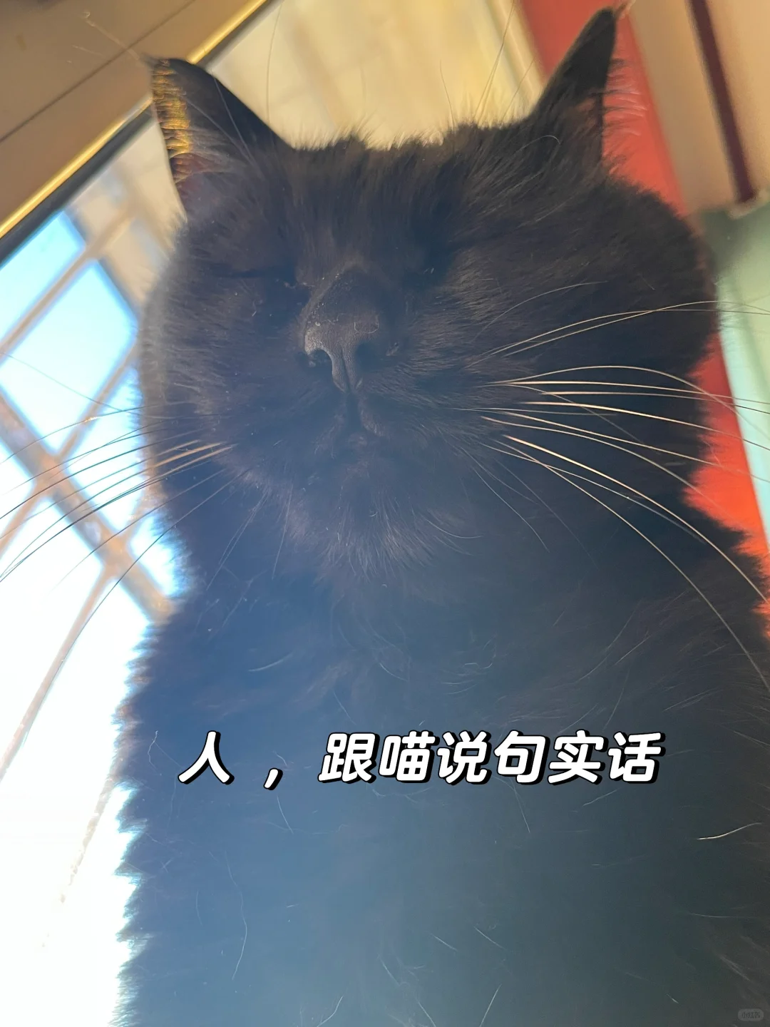 人，你跟我实话实说吧