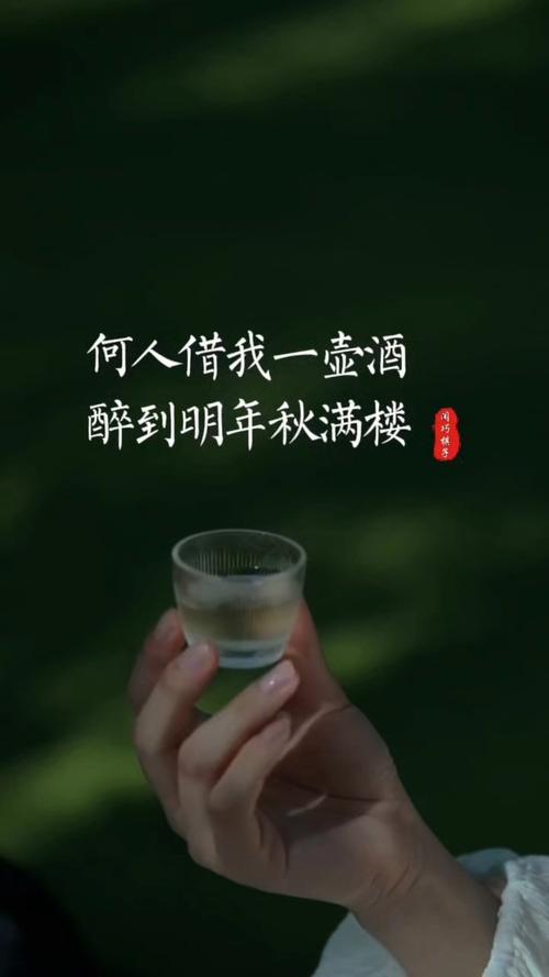 ，恭请对下联（平台提供）

我的创意下联可以是：
1、借我三分醉意[碰拳]还君一