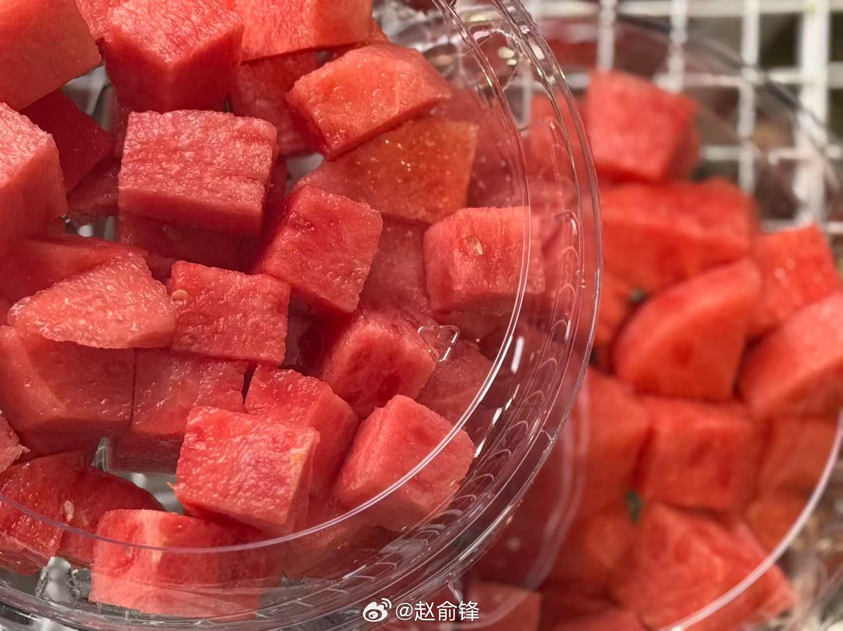 e路同心寻美清原 夏乐麒麟！ 