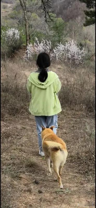 南太行山失联女孩最后信号不在山林 南太行山失联女孩最后信号不在山林
这几天，南太