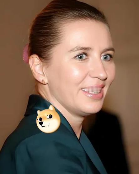 丹麦的两个国际笑话：一、丹麦女首相为了讨好美国，像疯狗一样咬中国，结果美国现在要