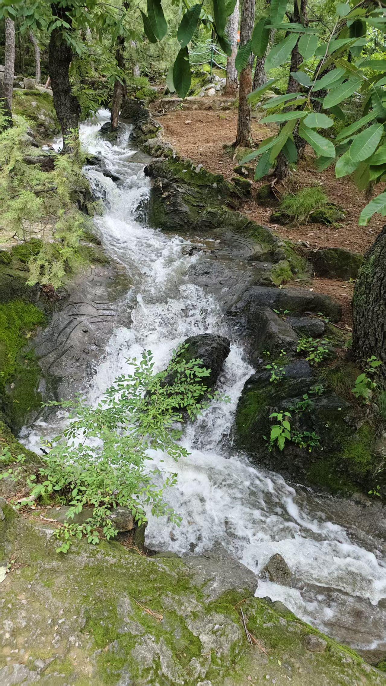 而且真的不热，但是观音寺在山巅上，需要爬山半小时，就一身汗了。而且感觉半天还没转